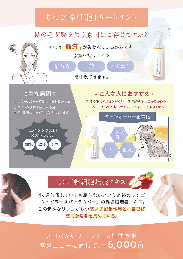 flyer_15画像